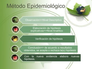 Método Epidemiológico
Observación=>Nivel Descriptivo
Elaboración de hipótesis
explicativas=>Nivel Analítico
Verificación de hipótesis
Conclusión=> de acuerdo a resultados
obtenidos, se acepta o rechaza la(s) hipótesis
Con la nueva evidencia elabora nuevas
hipótesis.
 