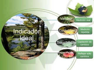 Indicador
Ideal
Validez
Confiabilidad
Sensibilidad
Especificida
d
Medición real
Medición
repetida
Captación de
cambios
Reflejar sólo
cambios
 