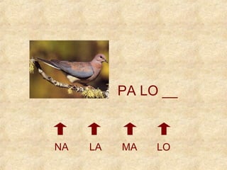 PA LO __ 
NA LA MA LO 
 