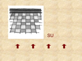 SU 
 