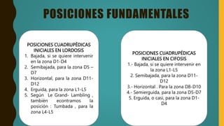 POSICIONES FUNDAMENTALES
POSICIONES CUADRUPÉDICAS
INICIALES EN LORDOSIS
1. Bajada, si se quiere intervenir
en la zona D1-D4
2. Semibajada, para la zona D5 –
D7
3. Horizontal, para la zona D11-
D12
4. Erguida, para la zona L1-L5
5. Según Le Grand- Lambling ,
también econtramos la
posición : Tumbada , para la
zona L4-L5
POSICIONES CUADRUPÉDICAS
INICIALES EN CIFOSIS
1.- Bajada, si se quiere intervenir en
la zona L1-L5
2. Semibajada, para la zona D11-
D12
3.- Horizontal . Para la zona D8-D10
4.- Semierguida, para la zona D5-D7
5. Erguida, o casi, para la zona D1-
D4
 