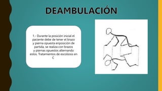 1.- Durante la posición inicial el
paciente debe de tener el brazo
y pierna opuesta enposición de
partida, se realiza con brazos
y piernas opuestos alternando
estos. Tratamientos de escoliosis en
C
 