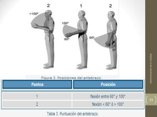 Administración de la Calidad
15
 