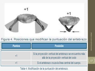 Administración de la Calidad
17
 