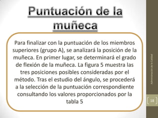 Para finalizar con la puntuación de los miembros
superiores (grupo A), se analizará la posición de la




                                                       Administración de la Calidad
muñeca. En primer lugar, se determinará el grado
 de flexión de la muñeca. La figura 5 muestra las
   tres posiciones posibles consideradas por el
 método. Tras el estudio del ángulo, se procederá
 a la selección de la puntuación correspondiente
  consultando los valores proporcionados por la
                        tabla 5                        18
 