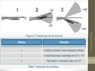 Administración de la Calidad
19
 