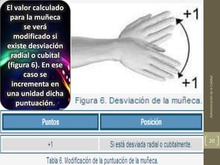 El valor calculado
 para la muñeca
      se verá
  modificado si
existe desviación
 radial o cubital
(figura 6). En ese
      caso se




                     Administración de la Calidad
 incrementa en
una unidad dicha
   puntuación.



                     20
 