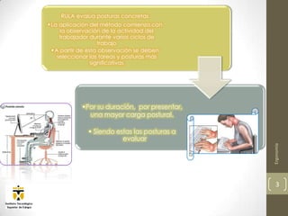 RULA evalúa posturas concretas
•La aplicación del método comienza con
    la observación de la actividad del
    trabajador durante varios ciclos de
                   trabajo
 •A partir de esta observación se deben
   seleccionar las tareas y posturas más
                significativas




            •Por su duración, por presentar,
              una mayor carga postural.

              • Siendo estas las posturas a
                         evaluar




                                               Ergonomía
                                                 3
 
