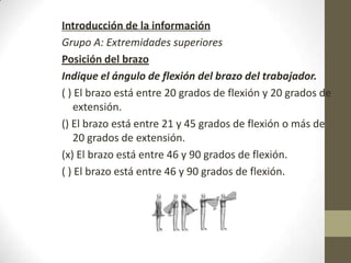 Introducción de la información
Grupo A: Extremidades superiores
Posición del brazo
Indique el ángulo de flexión del brazo del trabajador.
( ) El brazo está entre 20 grados de flexión y 20 grados de
   extensión.
() El brazo está entre 21 y 45 grados de flexión o más de
   20 grados de extensión.
(x) El brazo está entre 46 y 90 grados de flexión.
( ) El brazo está entre 46 y 90 grados de flexión.
 