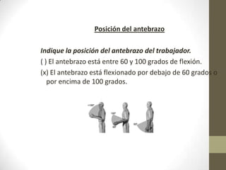 Posición del antebrazo

Indique la posición del antebrazo del trabajador.
( ) El antebrazo está entre 60 y 100 grados de flexión.
(x) El antebrazo está flexionado por debajo de 60 grados o
   por encima de 100 grados.
 