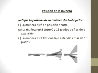 Posición de la muñeca

Indique la posición de la muñeca del trabajador.
( ) La muñeca está en posición neutra.
(x) La muñeca está entre 0 y 15 grados de flexión o
   extensión.
( ) La muñeca está flexionada o extendida más de 15
   grados
 