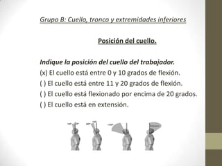 Grupo B: Cuello, tronco y extremidades inferiores

                   Posición del cuello.

Indique la posición del cuello del trabajador.
(x) El cuello está entre 0 y 10 grados de flexión.
( ) El cuello está entre 11 y 20 grados de flexión.
( ) El cuello está flexionado por encima de 20 grados.
( ) El cuello está en extensión.
 