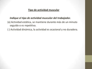 Tipo de actividad muscular

   Indique el tipo de actividad muscular del trabajador.
(x) Actividad estática, se mantiene durante más de un minuto
   seguido o es repetitiva.
( ) Actividad dinámica, la actividad es ocasional y no duradera.
 