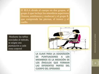 El RULA divide el cuerpo en dos grupos, el
            grupo A que incluye los miembros superiores
            (brazos, antebrazos y muñecas) y el grupo B,
            que comprende las piernas, el tronco y el
            cuello.




                                                           Administración de la Calidad
 Mediante las tablas
asociadas al método,
se asigna una
puntuación a cada
zona corporal




                                                                  6
 
