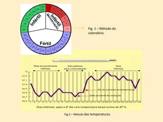 Fig. 1 – Método do calendário. Fig.2 – Método  das   temperaturas . 