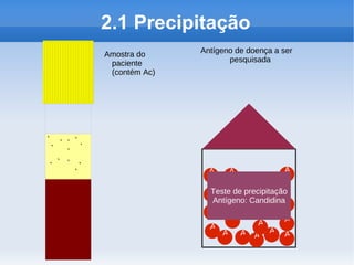 2.1 Precipitação
         Amostra do     Antígeno de doença a ser
          paciente             pesquisada
          (contém Ac)




Y YYY
 Y Y Y

YY Y Y
    Y                     A    A             A

                          A
                          Teste de precipitação
                           Antígeno: CandidinaA
                          A
                                A             A
                          A            A
                             A    A A A A
 