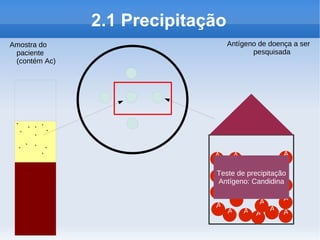 2.1 Precipitação
Amostra do                        Antígeno de doença a ser
 paciente                                pesquisada
 (contém Ac)




 Y YYY
  Y Y Y

 YY Y Y
     Y                       A     A              A

                             A
                             Teste de precipitação
                              Antígeno: CandidinaA
                             A
                                   A             A
                             A            A
                                A    A A A A
 