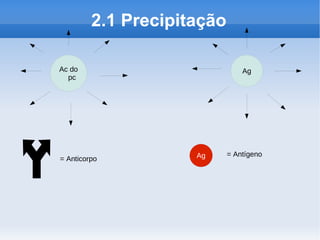 2.1 Precipitação

Ac do                           Ag
  pc




                     Ag     = Antígeno
= Anticorpo
 