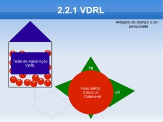 2.2.1 VDRL
                                           Antígeno de doença a ser
                                                  pesquisada




A    A             A

A
Teste de Aglutinação
       VDRL         A
A                               Ag
     A              A
A           A
   A    A A A A

                            Fase sólida:
                             Cristal de    Ag
                              Colesterol
 