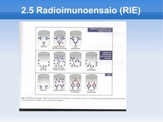 2.5 Radioimunoensaio (RIE)
 