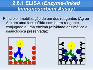 2.6.1 ELISA (Enzyme-linked
       Immunosorbent Assay)
Princípio: Imobilização de um dos reagentes (Ag ou
 Ac) em uma fase sólida com outro reagente
 conjugado a uma enzima (atividade enzimática e
 imunológica preservada);


         E
                                       E
 