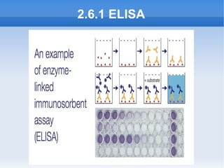 2.6.1 ELISA
 