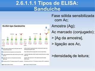2.6.1.1.1 Tipos de ELISA:
                   Sanduíche
                         Fase sólida sensibilizada
                          com Ac;
ELISA tipo Sanduíche     Amostra (Ag);
                         Ac marcado (conjugado);
                         > [Ag da amostra],
                         > ligação aos Ac,


                         >densidade de leitura;
 