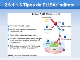 2.6.1.1.3 Tipos de ELISA: Indireto
                   (Não competitivo)
 