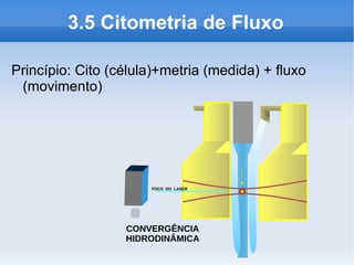 3.5 Citometria de Fluxo

Princípio: Cito (célula)+metria (medida) + fluxo
 (movimento)




                      FOCO DO LASER




                  CONVERGÊNCIA
                  HIDRODINÂMICA
 