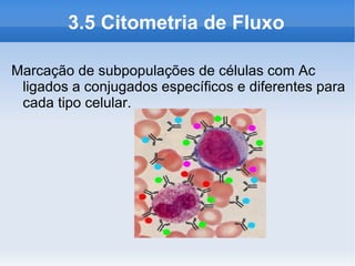 3.5 Citometria de Fluxo

Marcação de subpopulações de células com Ac
 ligados a conjugados específicos e diferentes para
 cada tipo celular.
 