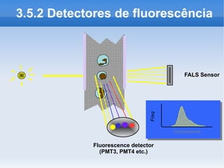 3.5.2 Detectores de fluorescência



                                          FALS Sensor




                               Freq
                                      Fluorescence


            Fluorescence detector
              (PMT3, PMT4 etc.)
 