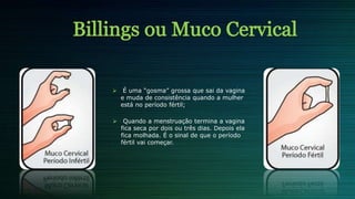  É uma “gosma” grossa que sai da vagina
e muda de consistência quando a mulher
está no período fértil;
 Quando a menstruação termina a vagina
fica seca por dois ou três dias. Depois ela
fica molhada. É o sinal de que o período
fértil vai começar.
 