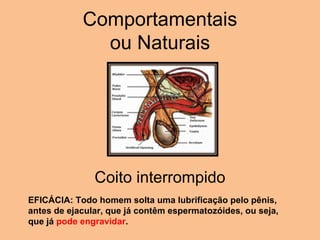 Comportamentais ou Naturais EFICÁCIA: Todo homem solta uma lubrificação pelo pênis, antes de ejacular, que já contêm espermatozóides, ou seja, que já  pode engravidar .  Coito interrompido 