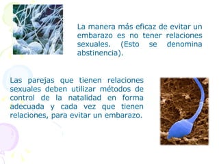 La manera más eficaz de evitar un embarazo es no tener relaciones sexuales. (Esto se denomina abstinencia).  Las parejas que tienen relaciones sexuales deben utilizar métodos de control de la natalidad en forma adecuada y cada vez que tienen relaciones, para evitar un embarazo. 