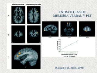 ESTRATEGIAS DE MEMORIA VERBAL Y PET (Savage et al, Brain, 2001) 