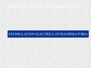 Posner & Raichle, Images of Mind What is Cognitive Neuroscience? ESTIMULACION ELECTRICA INTRAOPERATORIA 