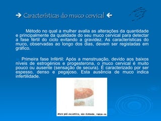    Características do muco cervical   Método no qual a mulher avalia as alterações da quantidade e principalmente da qualidade do seu muco cervical para detectar a fase fértil do ciclo evitando a gravidez. As características do muco, observadas ao longo dos dias, devem ser registadas em gráfico.     Primeira fase Infértil: Após a menstruação, devido aos baixos níveis de estrogénios e progesterona, o muco cervical é muito pouco ou ausente (sensação de secura). È caracterizado por ser espesso, denso e pegajoso. Esta ausência de muco indica infertilidade.  