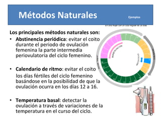 Los principales métodos naturales son:  Abstinencia periódica : evitar el coito durante el periodo de ovulación femenina la parte intermedia periovulatoria del ciclo femenino. Calendario de ritmo : evitar el coito los días fértiles del ciclo femenino basándose en la posibilidad de que la ovulación ocurra en los días 12 a 16. Temperatura basal : detectar la ovulación a través de variaciones de la temperatura en el curso del ciclo. Métodos Naturales  Ejemplos   