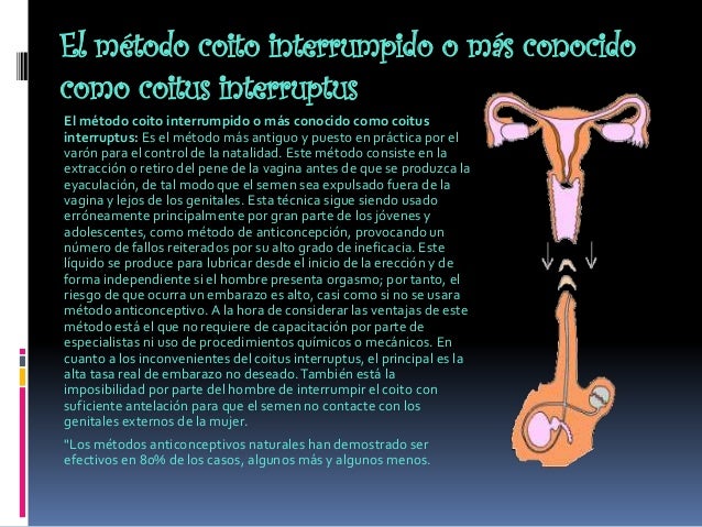 A skolki de los por ciento el pequeño miembro
