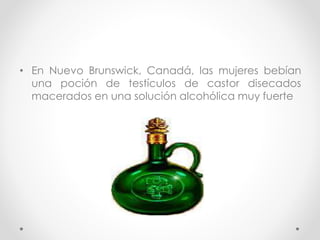 • En Nuevo Brunswick, Canadá, las mujeres bebían 
una poción de testículos de castor disecados 
macerados en una solución alcohólica muy fuerte 
 