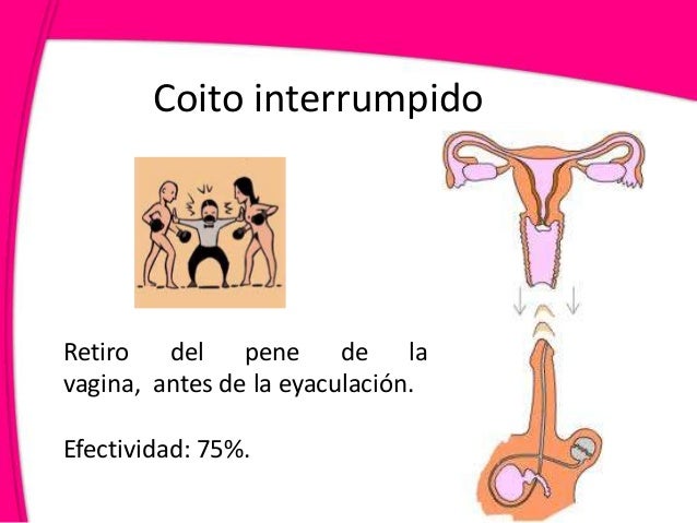 Imagen relacionada