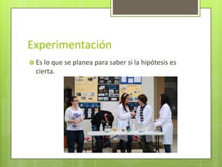 Experimentación
 Es lo que se planea para saber si la hipótesis es
  cierta.
 