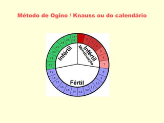 Método de Ogino / Knauss ou do calendário 