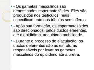    - Os gametas masculinos são
    denominados espermatozóides. Eles são
    produzidos nos testículos, mais
    especificamente nos túbulos seminíferos.
   - Após sua formação, os espermatozóides
    são direcionados, pelos ductos eferentes,
    até o epidídimo, adquirindo mobilidade.
   - Durante o processo de ejaculação, os
    ductos deferentes são as estruturas
    responsáveis por levar os gametas
    masculinos do epidídimo até a uretra.
 