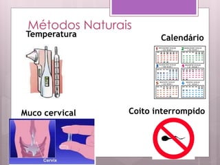 Métodos Naturais
 Temperatura           Calendário




Muco cervical   Coito interrompido
 