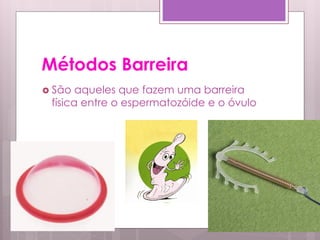 Métodos Barreira
 São  aqueles que fazem uma barreira
 física entre o espermatozóide e o óvulo
 