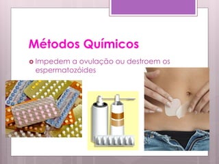 Métodos Químicos
 Impedem a ovulação ou destroem os
 espermatozóides
 