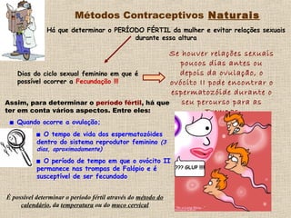 Métodos Contraceptivos Naturais
Há que determinar o PERÍODO FÉRTIL da mulher e evitar relações sexuais
durante essa altura
Dias do ciclo sexual feminino em que é
possível ocorrer a Fecundação !!!
Se houver relações sexuais
poucos dias antes ou
depois da ovulação, o
ovócito II pode encontrar o
espermatozóide durante o
seu percurso para as
Trompas
Assim, para determinar o período fértil, há que
ter em conta vários aspectos. Entre eles:
 Quando ocorre a ovulação;
 O tempo de vida dos espermatozóides
dentro do sistema reprodutor feminino (3
dias, aproximadamente)
 O período de tempo em que o ovócito II
permanece nas trompas de Falópio e é
susceptível de ser fecundado
É possível determinar o período fértil através do método do
calendário, da temperatura ou do muco cervical
 