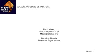 COLÉGIO ANGOLANO DE TALATONA
Elaboradores:
-Márcia Espinosa, nº 10
-Méurcio Talocha, nº12
Disciplina: Biologia
Professora: Brigite Mendes
19.10.2015
 