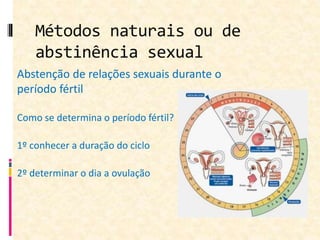 Métodos naturais ou de
abstinência sexual
Abstenção de relações sexuais durante o
período fértil
Como se determina o período fértil?
1º conhecer a duração do ciclo
2º determinar o dia a ovulação
 